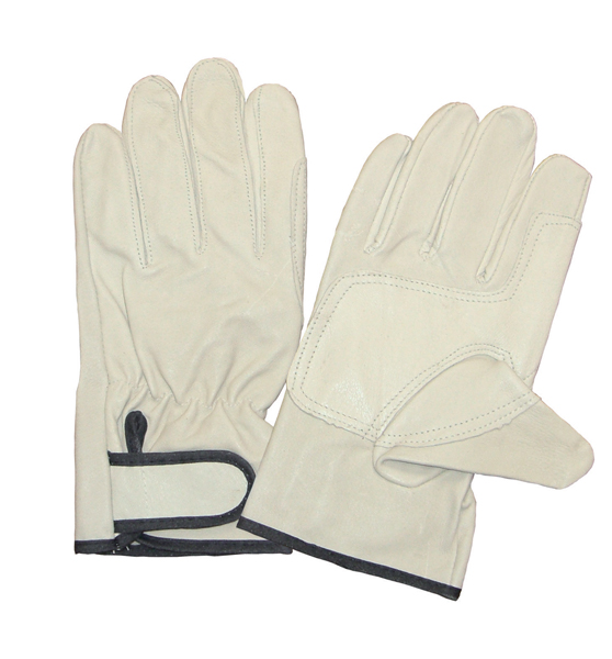 AG523 豚皮レンジャー当付手袋(A級革)1パック50双入 | エースグローブ