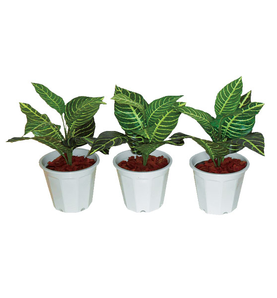 人工観葉植物「ゼブラ　5号鉢」3個セット　グリーンアクセサリー