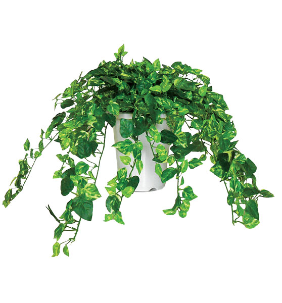 人工観葉植物「ポトスブッシュ 6号鉢」グリーンアクセサリー