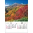 TD-501 トーハン・DX(フィルム)日本 壁掛け 名入れカレンダー