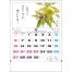 TD-851 花ごよみ 壁掛け 名入れカレンダー