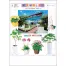 TD-917 観葉植物と暮し 壁掛け 名入れカレンダー