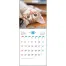 《名入れ》壁掛けカレンダー「ザ・キャッツ」30部【お試しパック】