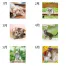 《名入れ》壁掛けカレンダー「ザ・キャッツ」30部【お試しパック】