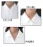 AR1656[アルファピア/ALPHARPIER]事務服半袖ブラウス(リボン付)