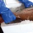 [アトム] ネオイーグル　#213 (5双入)