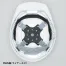 [DICヘルメット] 名入れヘルメットRSALホタルメット