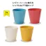 Veranpa コップ4個セット (1ケース240セット入)