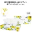 夏柄BOXティッシュ120W ひまわり (1ケース180個入)
