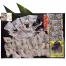 敬老祝 ふくちりセット900g (5人前)