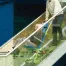 [LIFEZACK] 非常用階段避難車エクセルチェアー