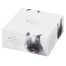 ネピア 鼻セレブAmenity 62W (80個入)