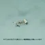 [XEBEC] 長袖ブルゾン 1200