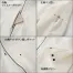 [クロダルマ] 32694 ストレッチ長袖ジャケット