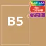 ≪名入れ≫ B5オリジナルクリアファイル マット デジタル印刷 100枚以上～