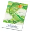 《名入れ》ハンディメモ帳(1冊60枚)「ジャックと豆の木」240冊入