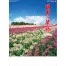 SG-461 日本の景勝 壁掛け 名入れカレンダー
