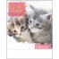 SM-105 Sweet Cats(段返し) 壁掛け 名入れカレンダー