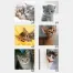 SM-105 Sweet Cats(段返し) 壁掛け 名入れカレンダー