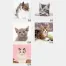 SM-105 Sweet Cats(段返し) 壁掛け 名入れカレンダー