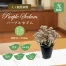 [ササガワ] 人工観葉植物 パープルセダム(ミニサイズ)