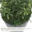 [ササガワ] 人工観葉植物 マリオ(ミニサイズ)