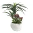 [ササガワ] 人工観葉植物 ユッカ寄植え(Sサイズ)