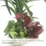 [ササガワ] 人工観葉植物 ユッカ寄植え(Sサイズ)