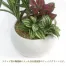 [ササガワ] 人工観葉植物 ユッカ寄植え(Sサイズ)