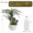 [ササガワ] 人工観葉植物 ユッカ寄植え(Sサイズ)
