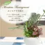 [ササガワ] 人工観葉植物 モンステラ寄植え(Sサイズ)