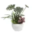 [ササガワ] 人工観葉植物 モンステラ寄植え(Sサイズ)