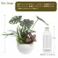 [ササガワ] 人工観葉植物 モンステラ寄植え(Sサイズ)