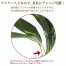 [ササガワ] 人工観葉植物 ドラセナ(Mサイズ)