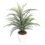 [ササガワ] 人工観葉植物 タマシダ( Mサイズ)