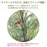 [ササガワ] 人工観葉植物 タマシダ( Mサイズ)