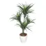 [ササガワ] 人工観葉植物 ユッカ(Mサイズ)