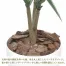 [ササガワ] 人工観葉植物 ユッカ(Mサイズ)