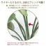 [ササガワ] 人工観葉植物 ストレリチア(Lサイズ)