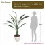 [ササガワ] 人工観葉植物 ストレリチア(Lサイズ)