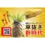 充電式除草バイブレーターミニ WE-730