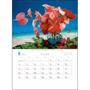 TD-653 癒しの楽園〜三好和義作品集 壁掛け 名入れカレンダー