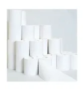 無包装用度品 トイレットペーパー 65mシングル 100ロール | 林製紙