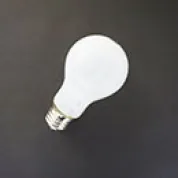 [ライト] 白熱電球40形 LW110V36W(1ケース25個入)
