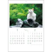 猫さんぽ(2ヶ月玉)   壁掛け 名入れカレンダー