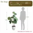 人工観葉植物 ウンベラータ(Lサイズ　130cm) | ササガワ