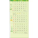 TD-787 グリーン3ヶ月(14ヶ月) 壁掛け 名入れカレンダー