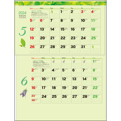 名入れ 壁掛けカレンダー グリーン2ヶ月eco 15ヶ月 46 4切 Td 944