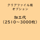 名入れクリアファイル専用「印刷代/2,510～3,000枚」