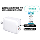 2台同時に急速充電できる充電器 (100個入)